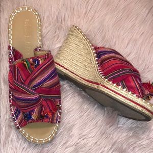 Serape Wedges